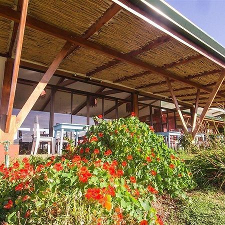 Chayote Lodge Naranjo  Εξωτερικό φωτογραφία