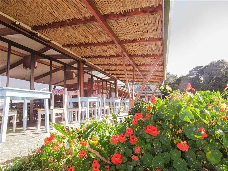 Chayote Lodge Naranjo  Εξωτερικό φωτογραφία
