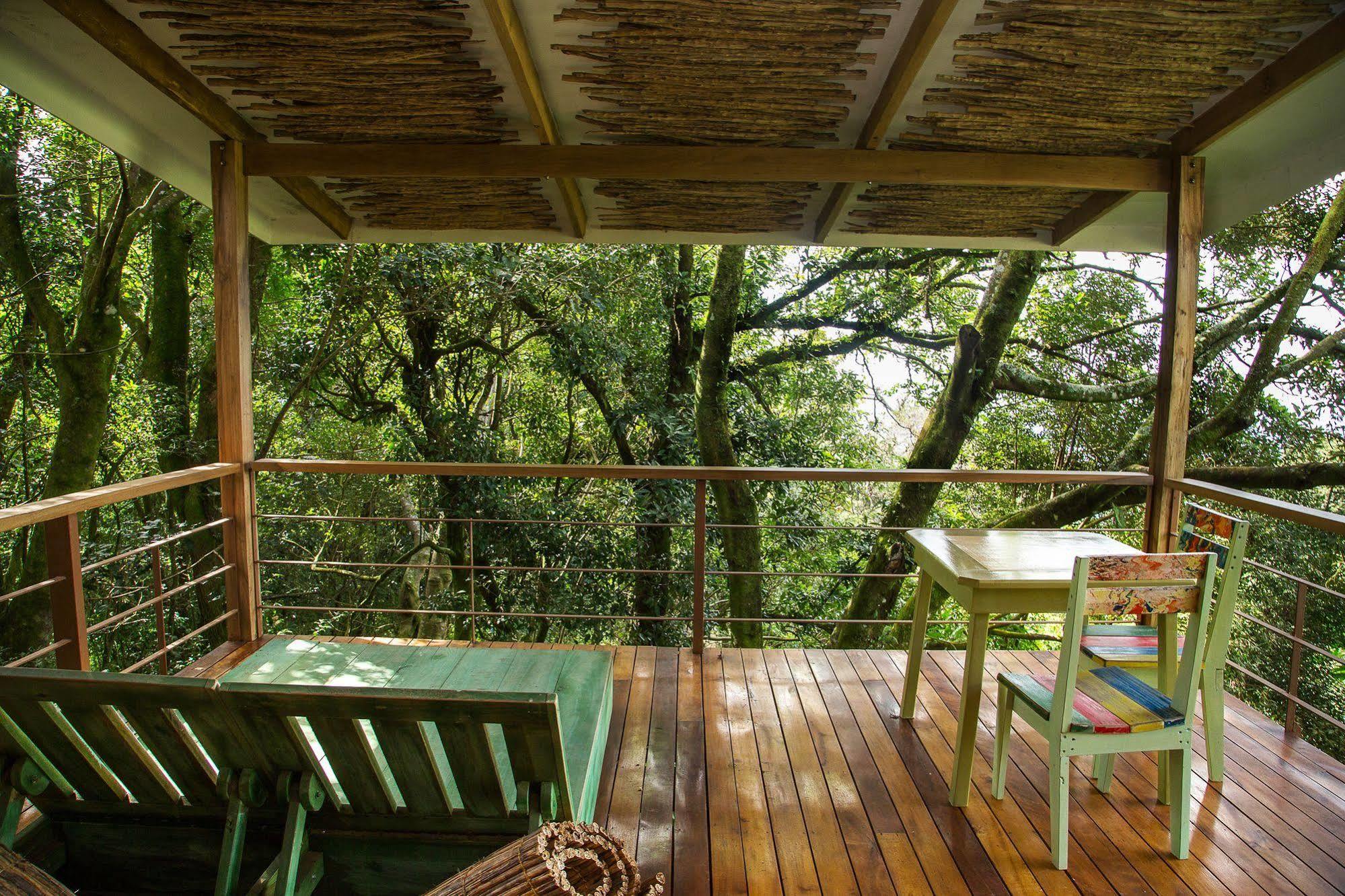 Chayote Lodge Naranjo  Εξωτερικό φωτογραφία